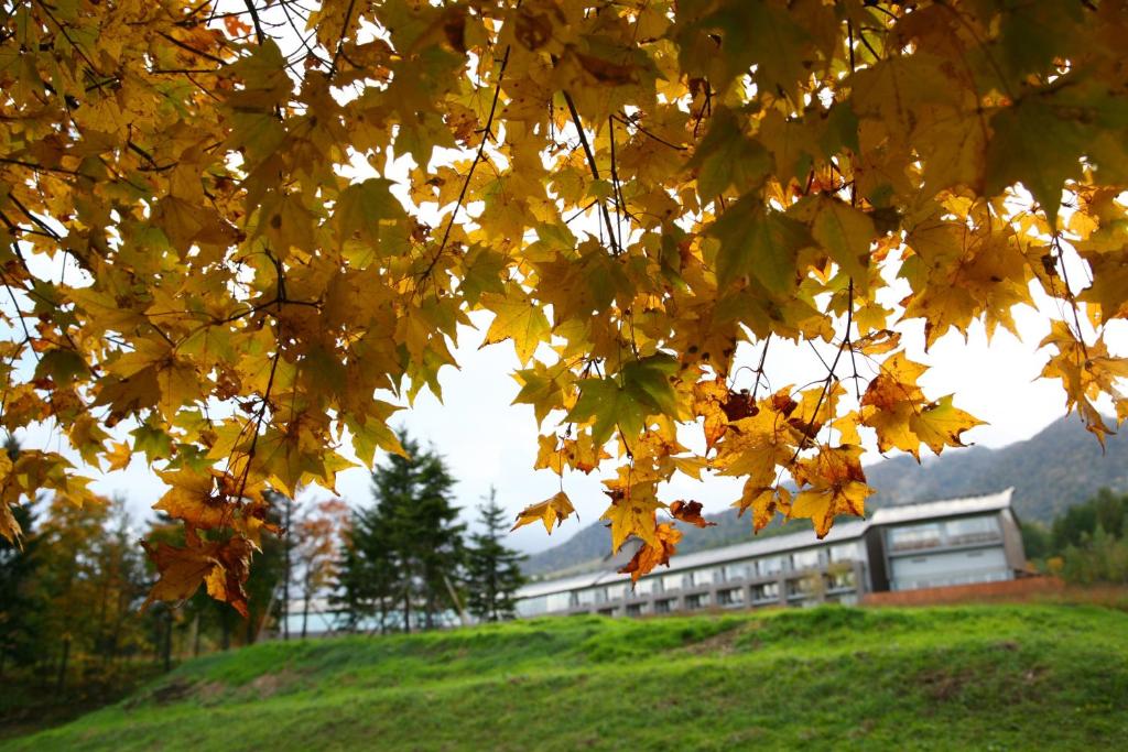 Furano Hotel ryokan Hokkaido Furano