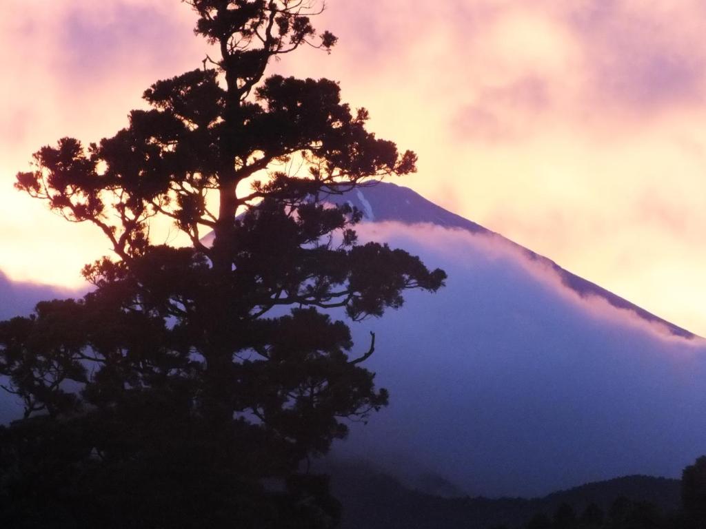 Hananoyado Fukuya ryokan Kanagawa Hakone