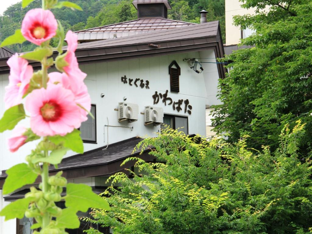 Hatoguruma Kawabata ryokan Nagano Nozawa Onsen