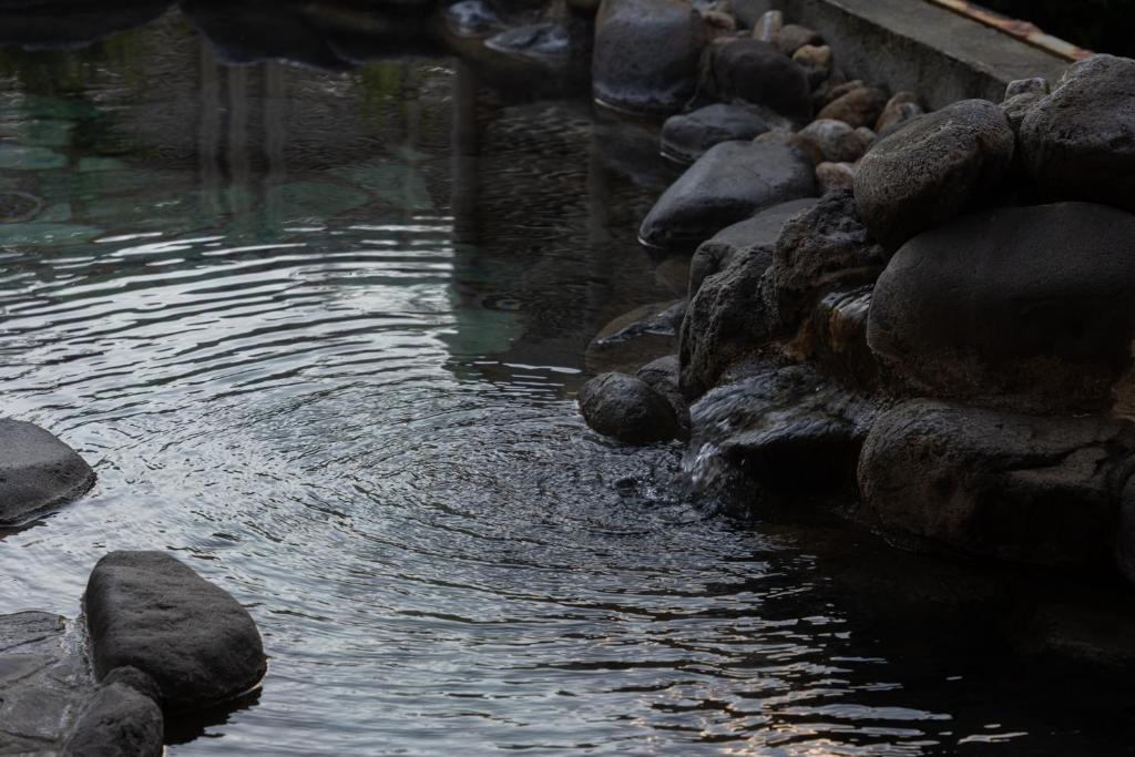 Kaiyutei ryokan Shizuoka Kawazu 3