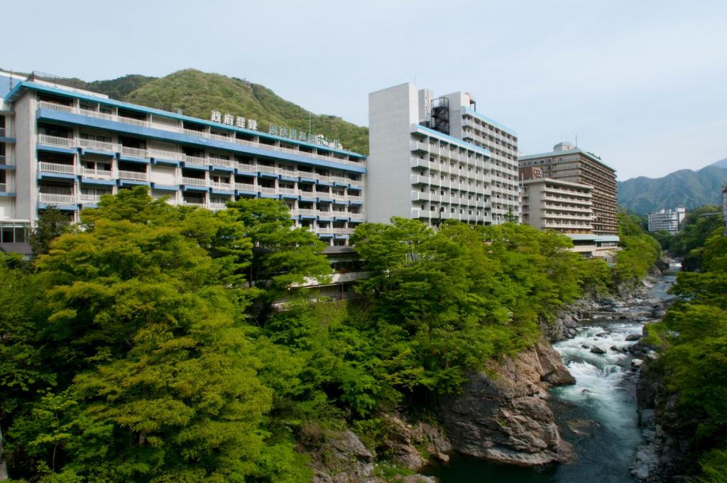 Kinugawa Onsen Hotel ryokan Tochigi Nikko 4