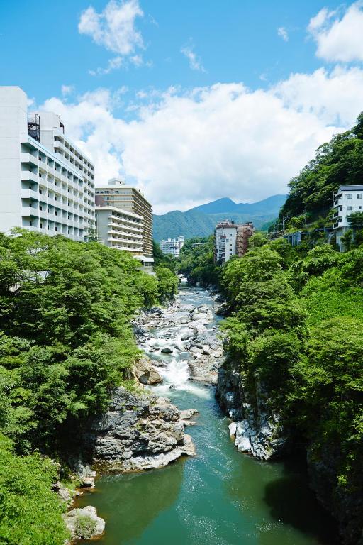 Kinugawa Onsen Hotel ryokan Tochigi Nikko