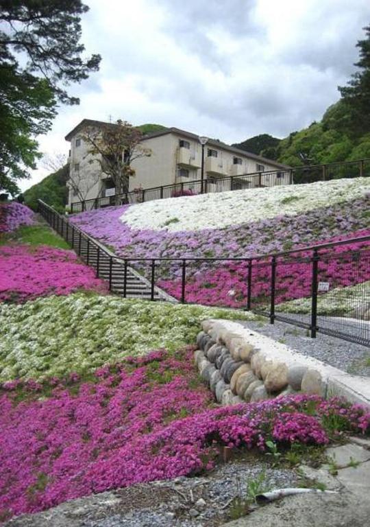 Kinugawa Onsen Sanraku ryokan Tochigi Nikko 3