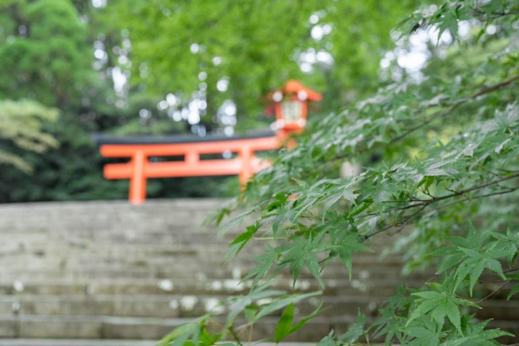 Kirishima Momijidani Seiryuso ryokan Kagoshima Kirishima 3