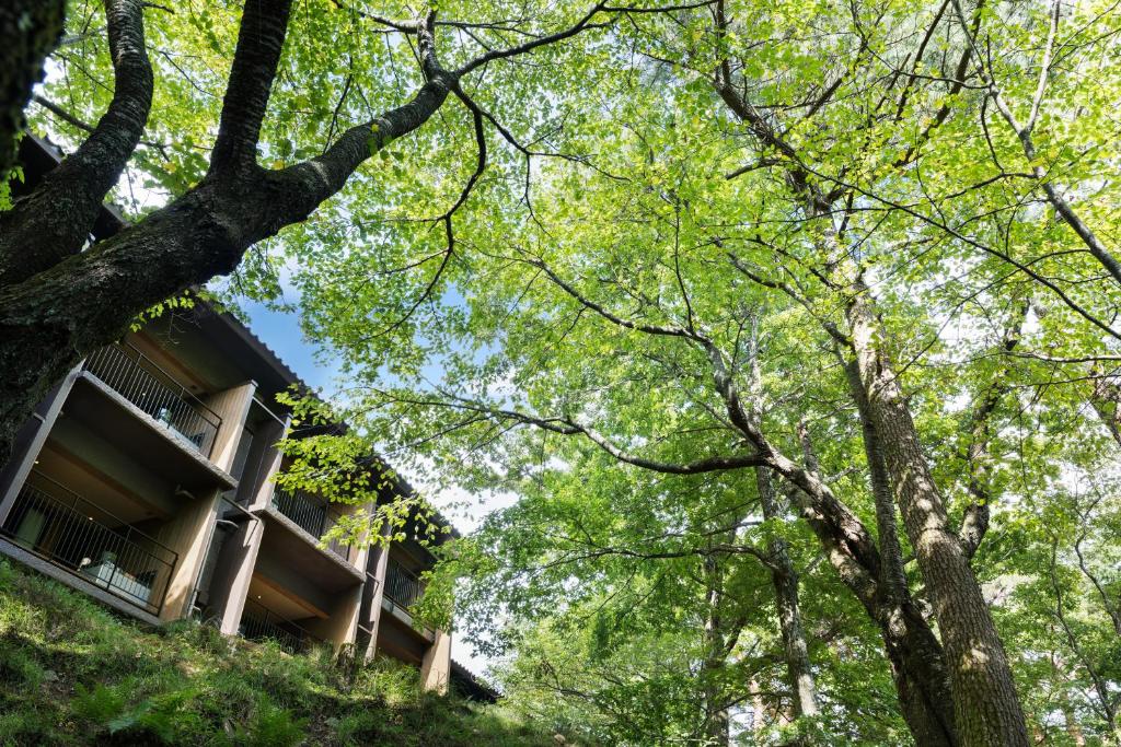 Laforet Shuzenji Sanshisuimei ryokan Shizuoka Izu 3