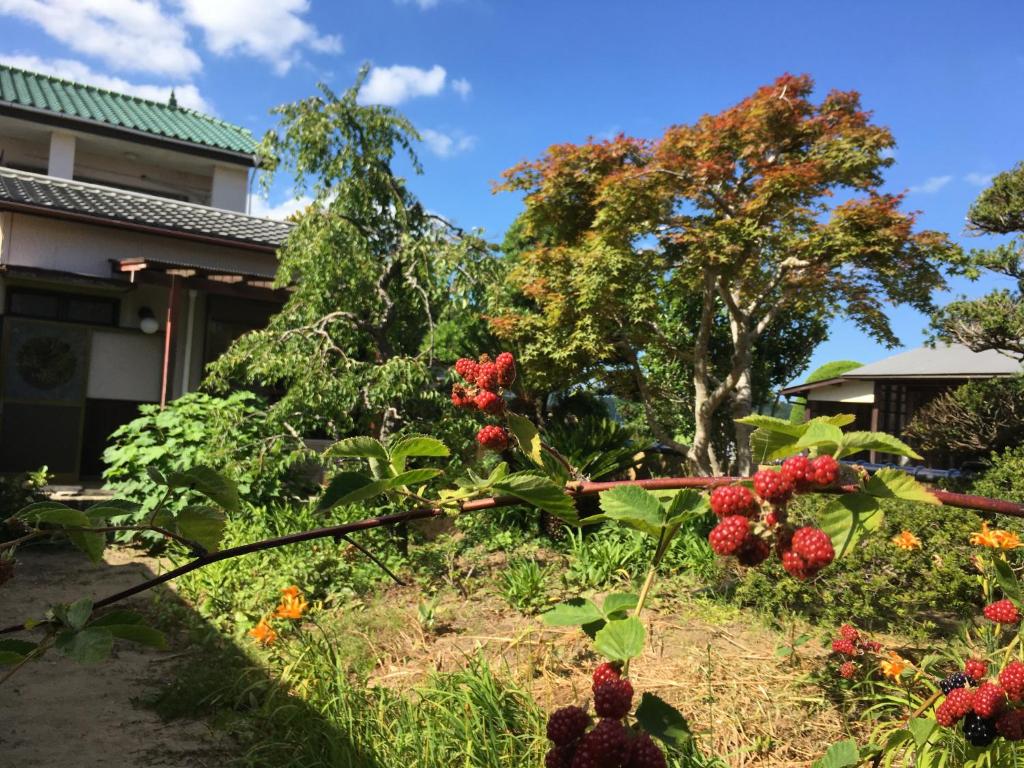 Masugataya Ryokan ryokan Chiba Tako 3