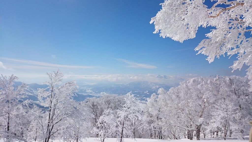 Nozawa Dream ryokan Nagano Nozawa Onsen