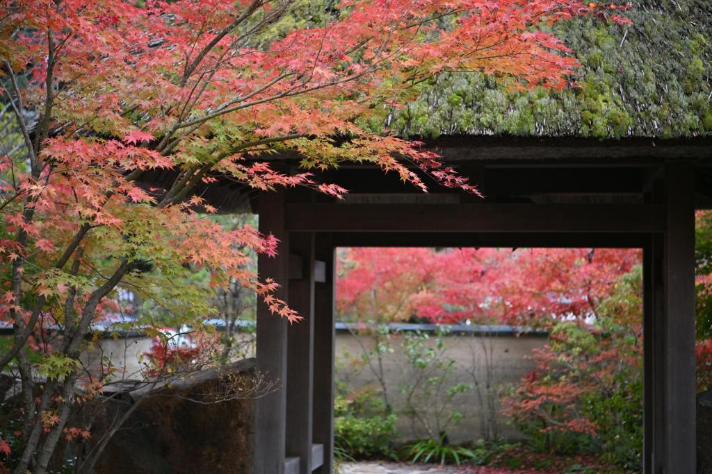 Ryokan Sumiya Kihoan ryokan Kyoto Kameoka 2