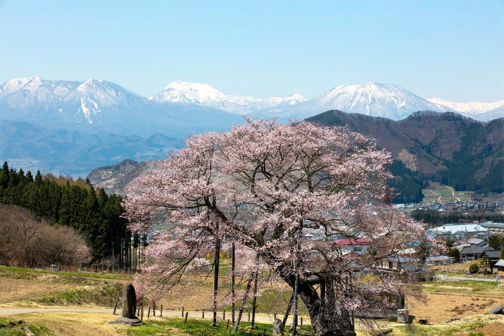 Ryokan Warabino ryokan Nagano Takayama