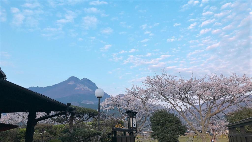 Sanso Tanaka ryokan Oita Yufu