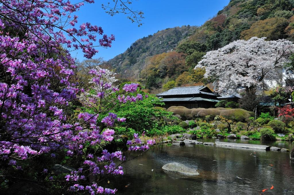 Yoshiike Ryokan ryokan Kanagawa Hakone 1