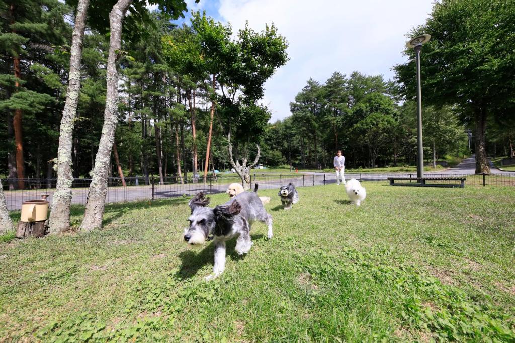 Yutorelo Tateshina Hotel with DOGS ryokan Nagano Chino 3